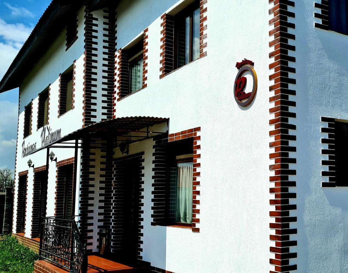Pensiunea Platinum Târgu Jiu Esterno foto
