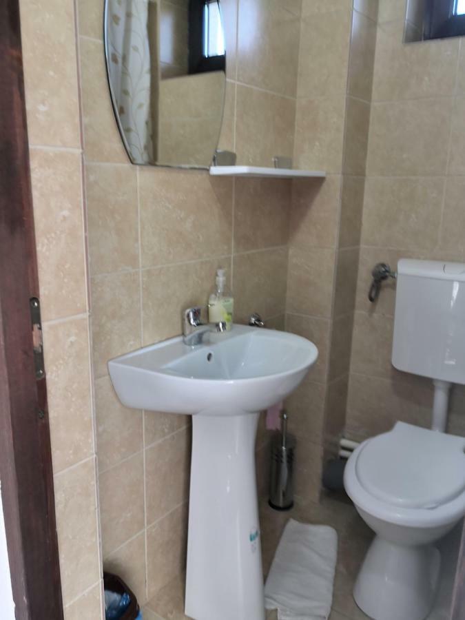 Pensiunea Platinum Târgu Jiu Esterno foto